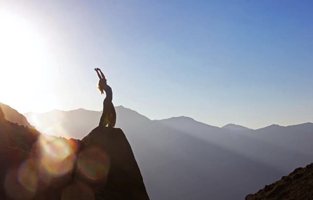 Okalipto Yaşam sürecinde öne çıkan özellikler aile, kültür, eğitim