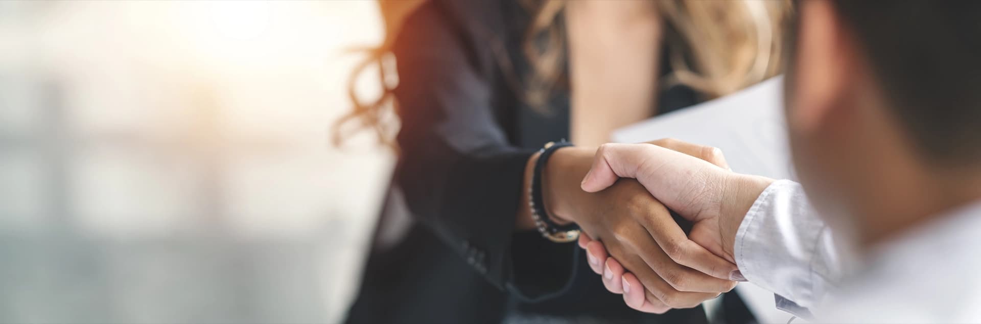 Okalipto Hakkımızda